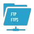 FTP/FTPs